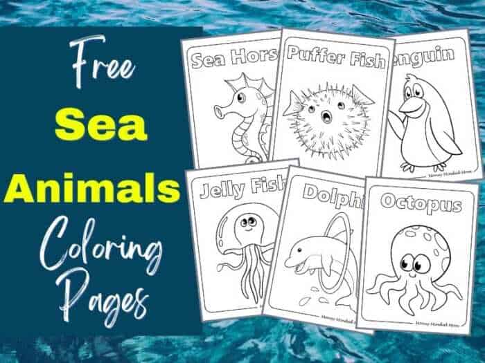 Sea Animal Coloring Pages